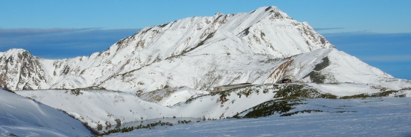 luiji_m's profile banner image