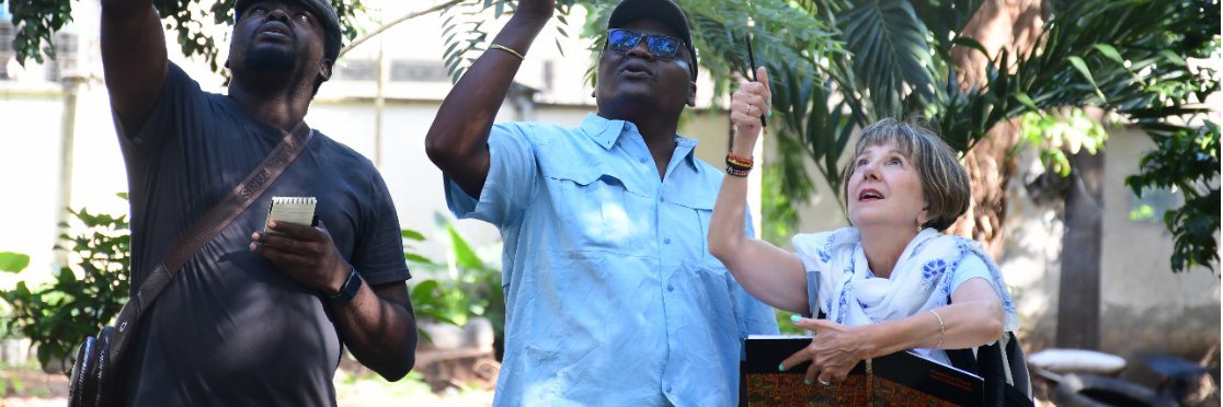 Cathy H Watson banner