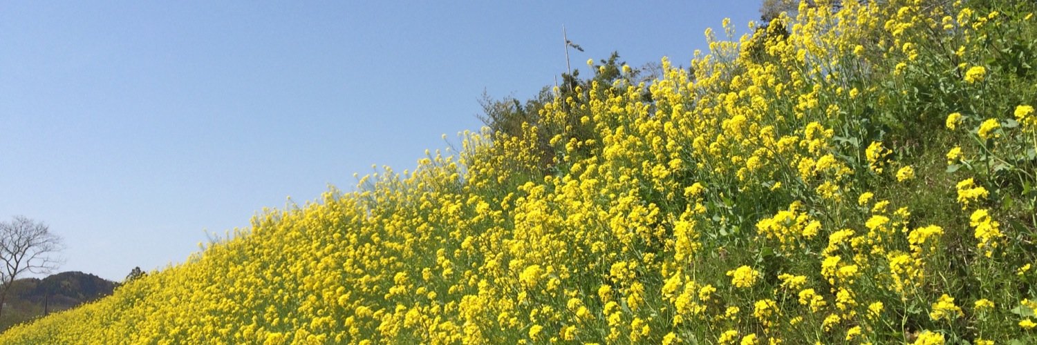 yellowtops's profile banner image