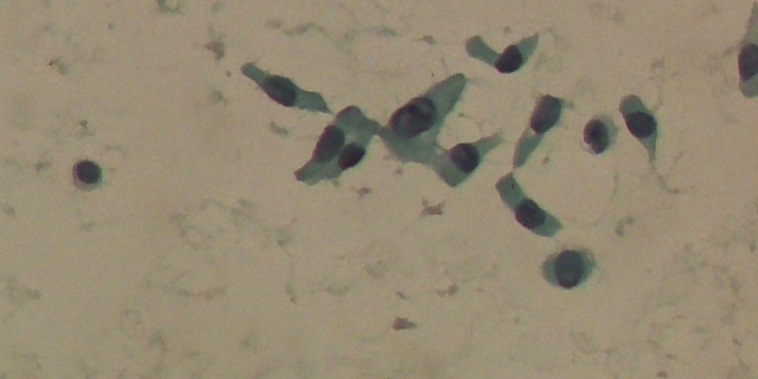 derodry's profile banner image