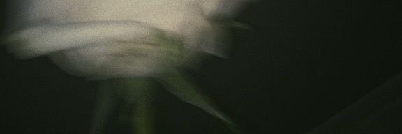 aleyhaikal's profile banner image
