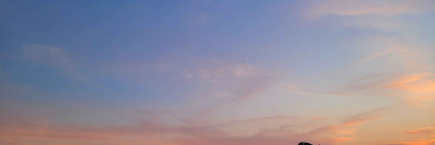 mayako25's profile banner image