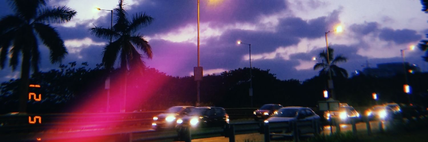 chalkesanika's profile banner image