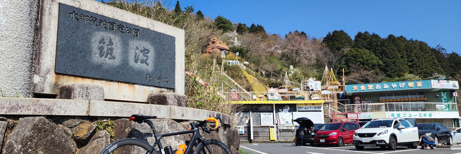 chobissimo🐬🥑🐦🐟 banner