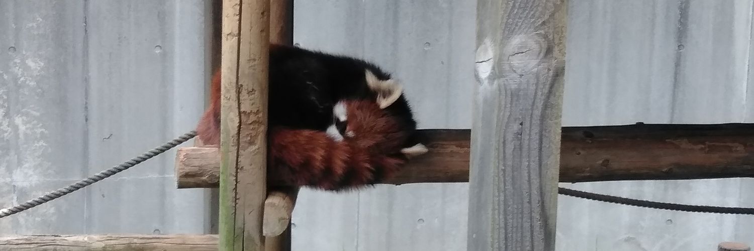 エクバプレイヤーのアラゐさん（エプイ） banner