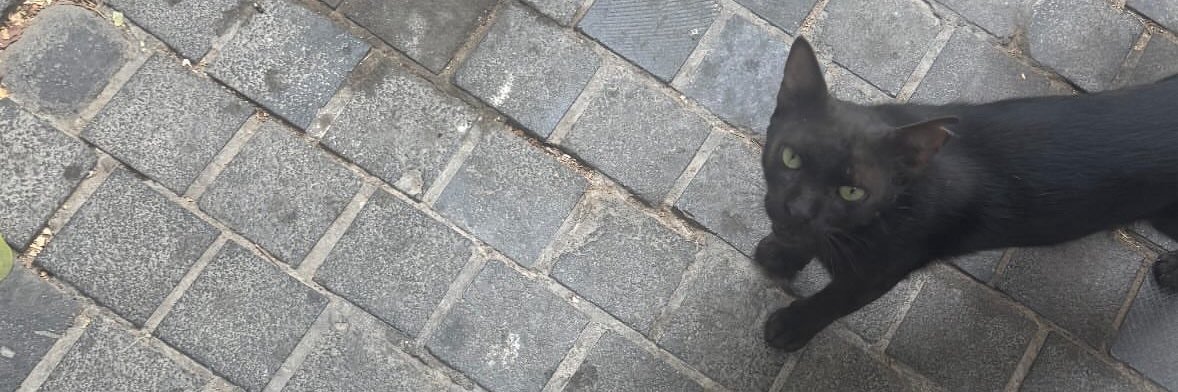 a_fmtn37's profile banner image