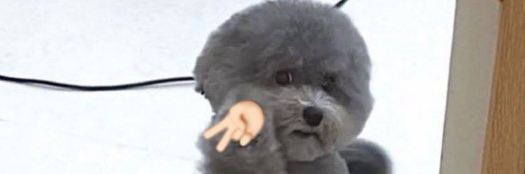 mintymomoo's profile banner image