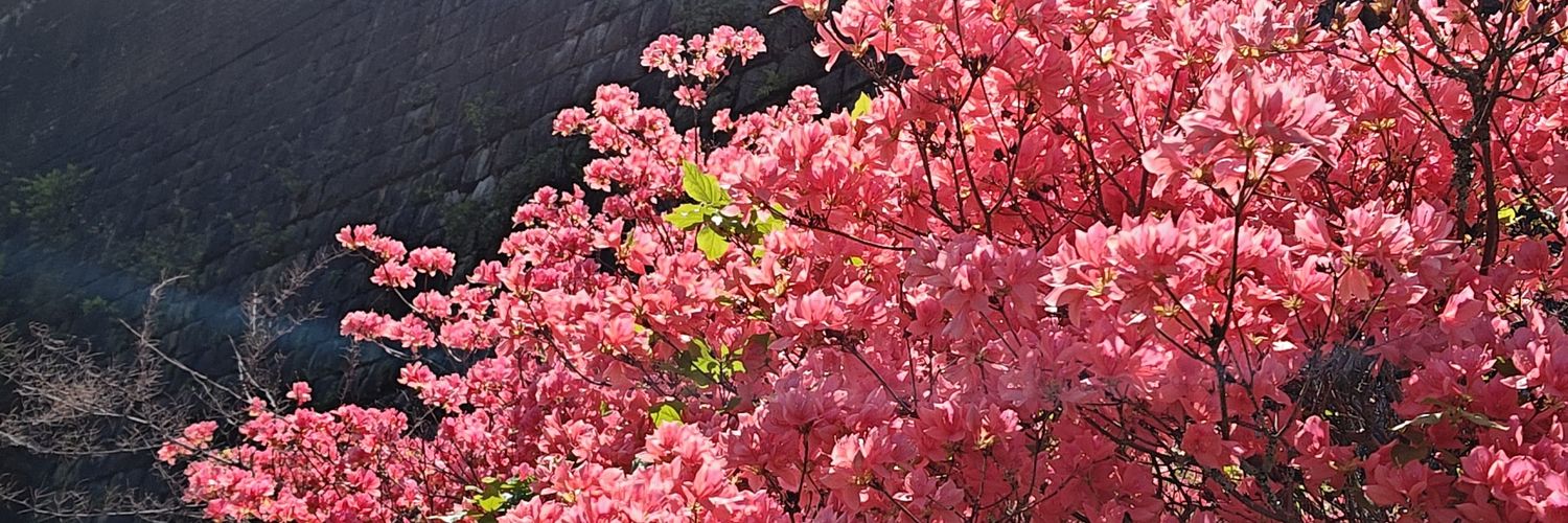 ymh_74's profile banner image