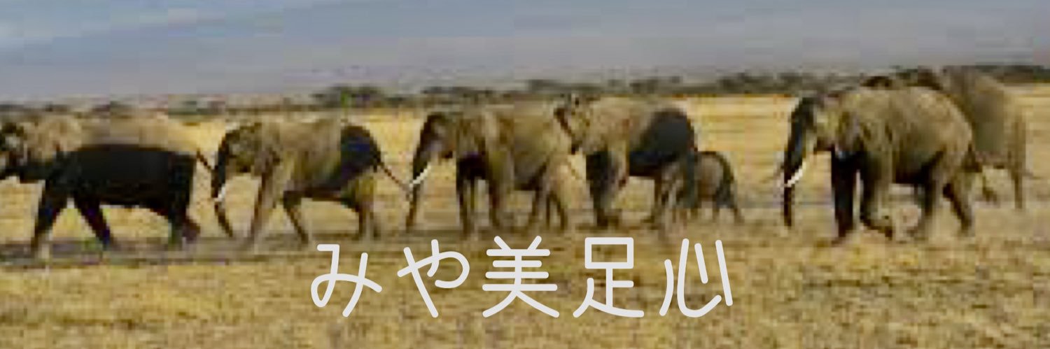 miyabidesse's profile banner image