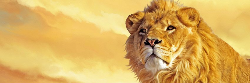 Candmr9Ft's profile banner image