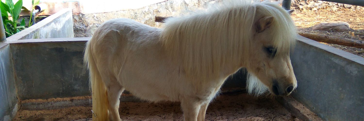 Fitri_42's profile banner image