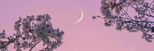 Mujaergoreng🌼 banner