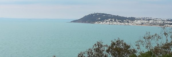 aliadellagi Profile Banner