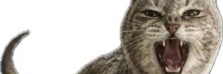 wang_jarimm's profile banner image
