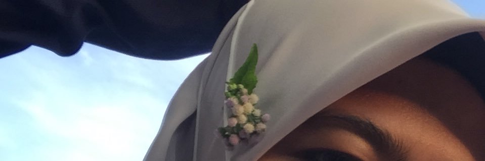 baldhanse's profile banner image