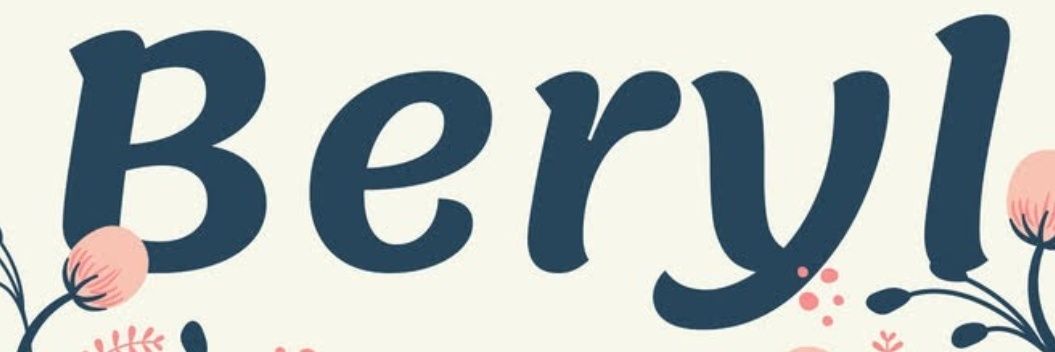 Beryl FN banner