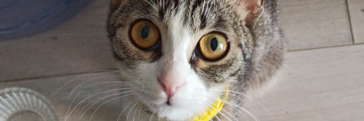 erboi3's profile banner image