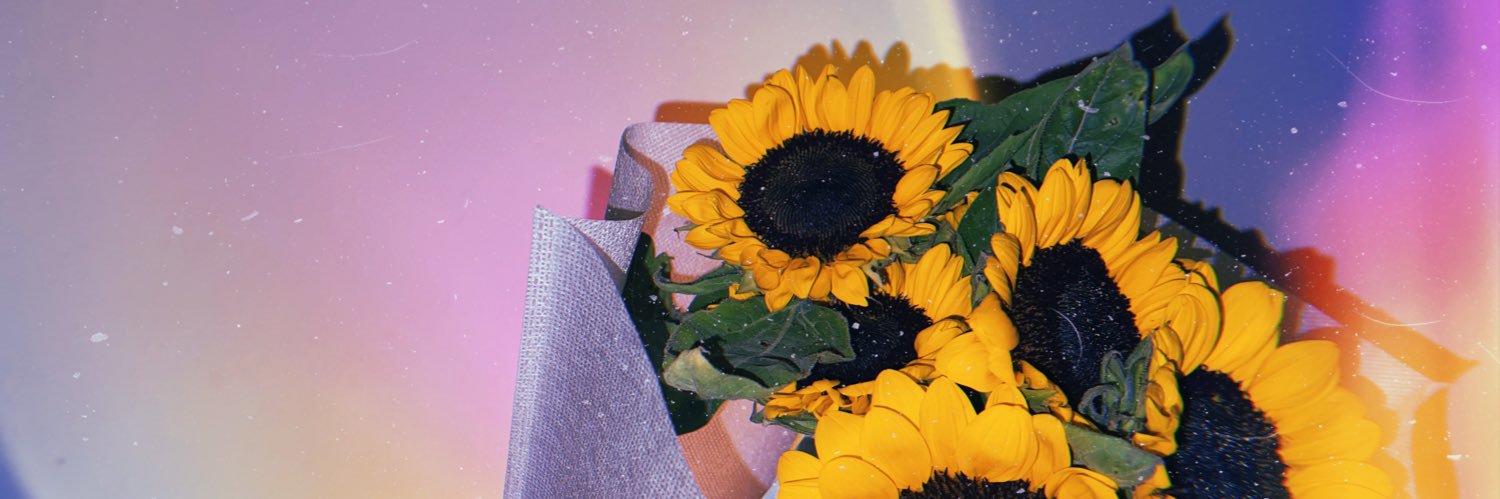 PLOY_APPA's profile banner image