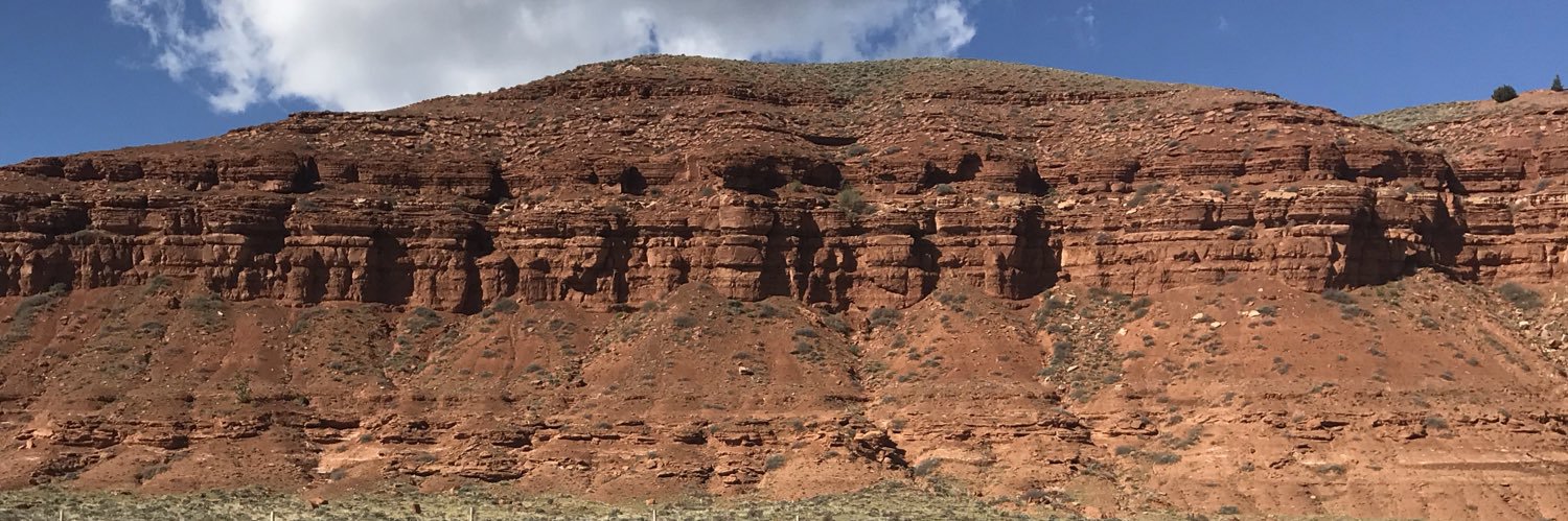 PeckReilly's profile banner image
