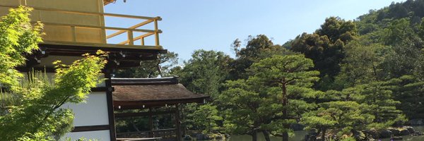 domdorn Profile Banner