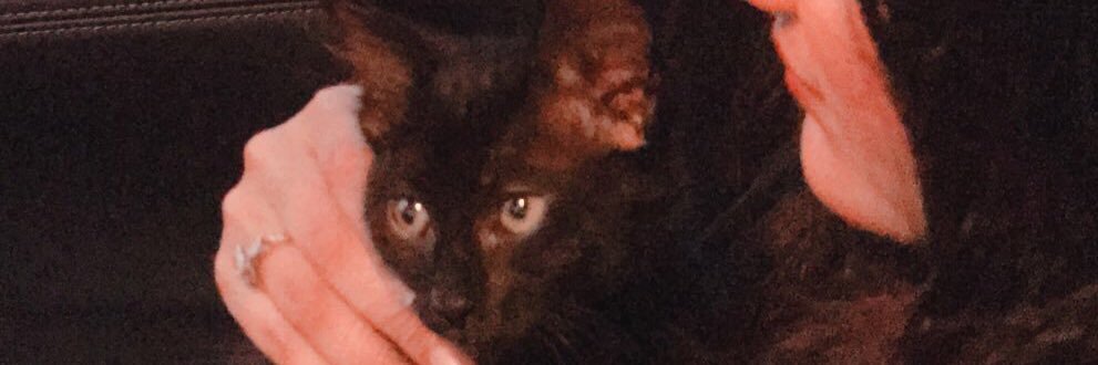 iMeow00's profile banner image