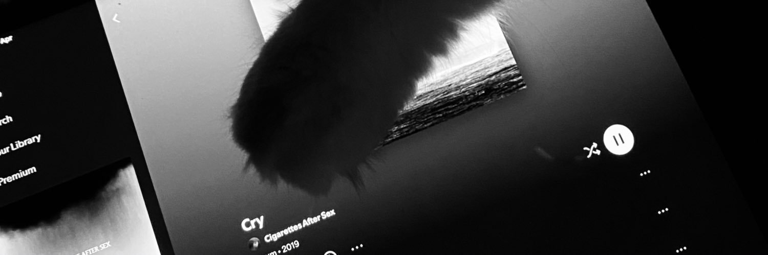 imunotherapy's profile banner image