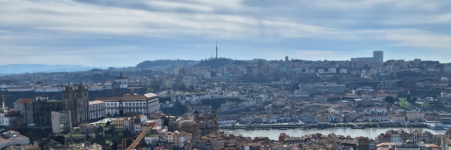 SALVO76 banner