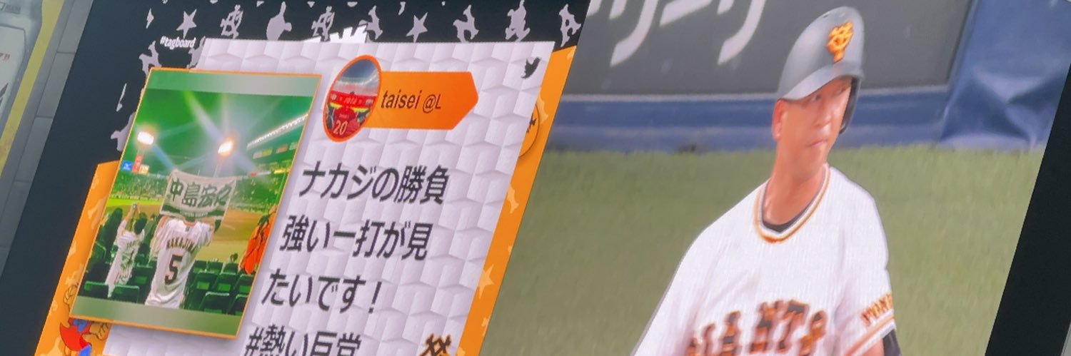 taisei banner