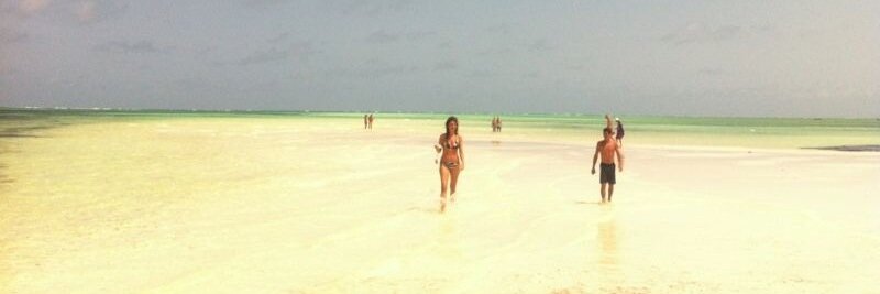 Barbara Benfenati banner