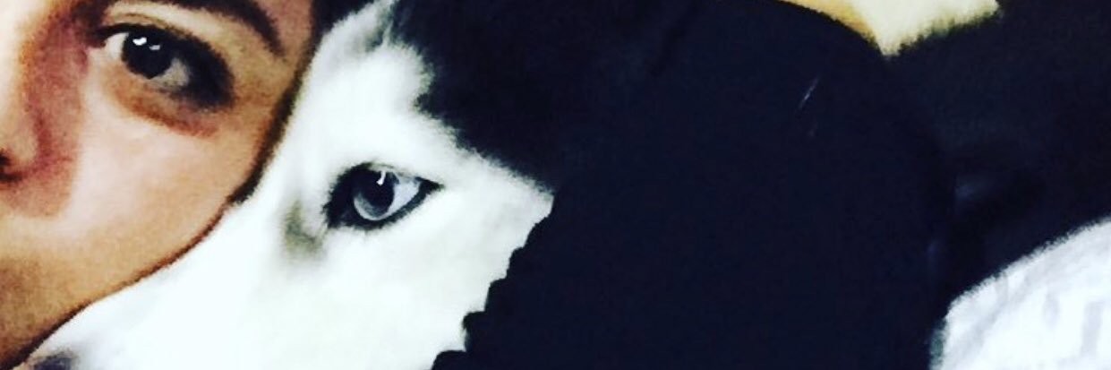 Azucenamata's profile banner image