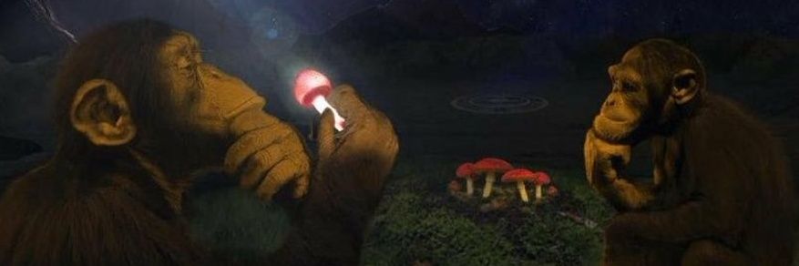 mostlyabhi's profile banner image