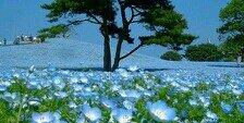 Trancetothesun's profile banner image