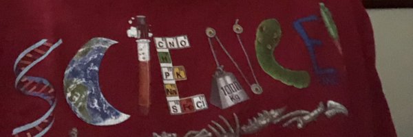 sas3pantula Profile Banner