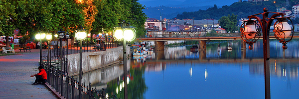 alaplimem Profile Banner