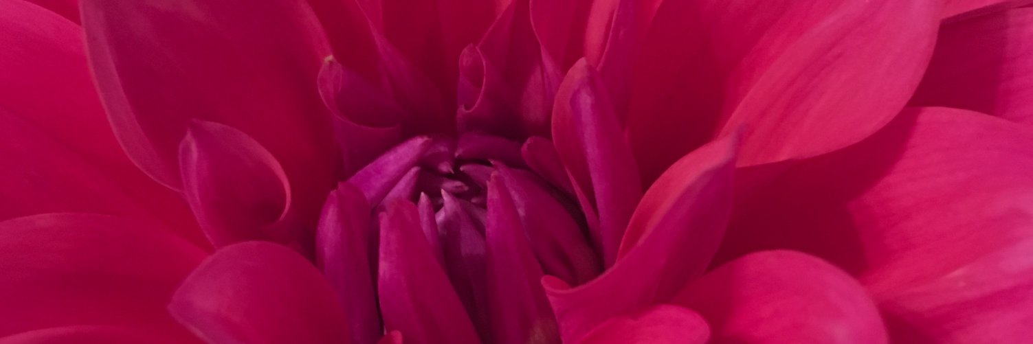 d607's profile banner image