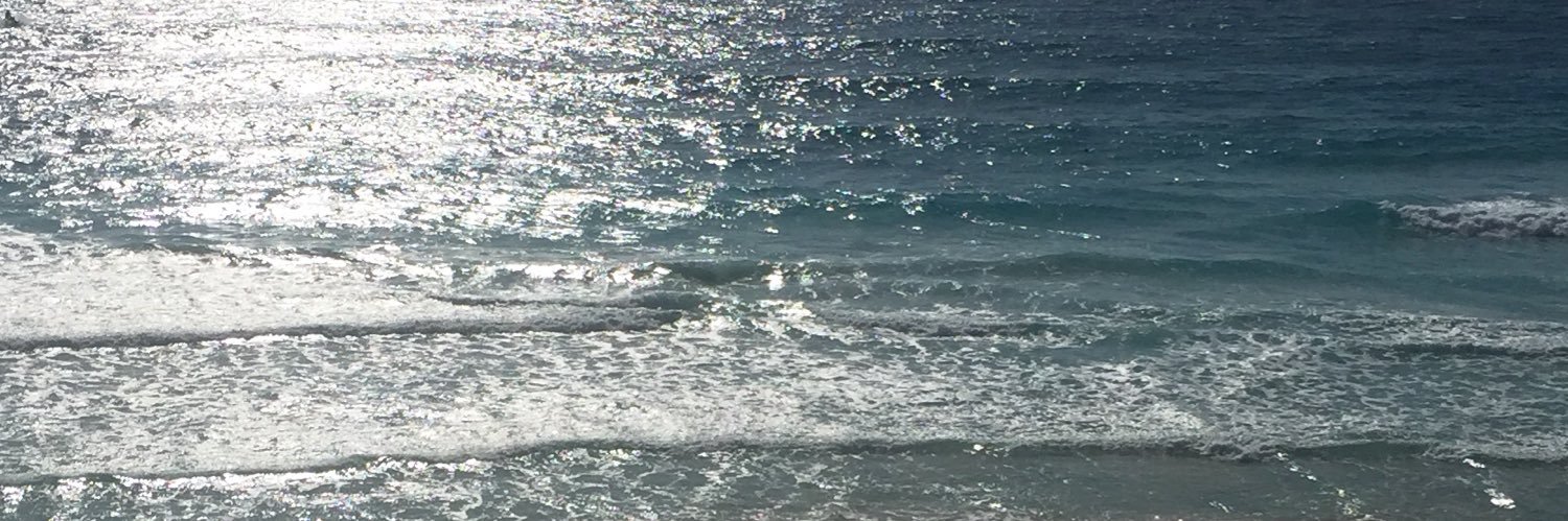 Marcela Perez Romo banner