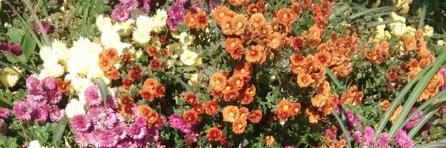 avtar65's profile banner image