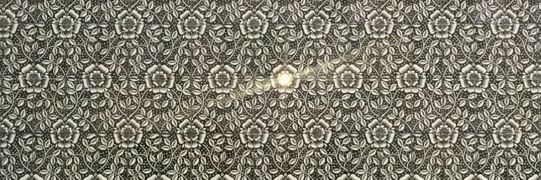 AppleSauceTraum's profile banner image