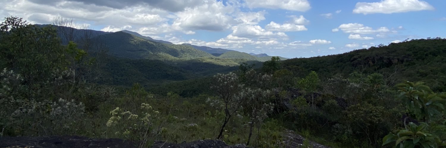 windsorgerais's profile banner image