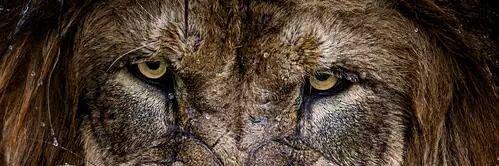 DFooge3830's profile banner image