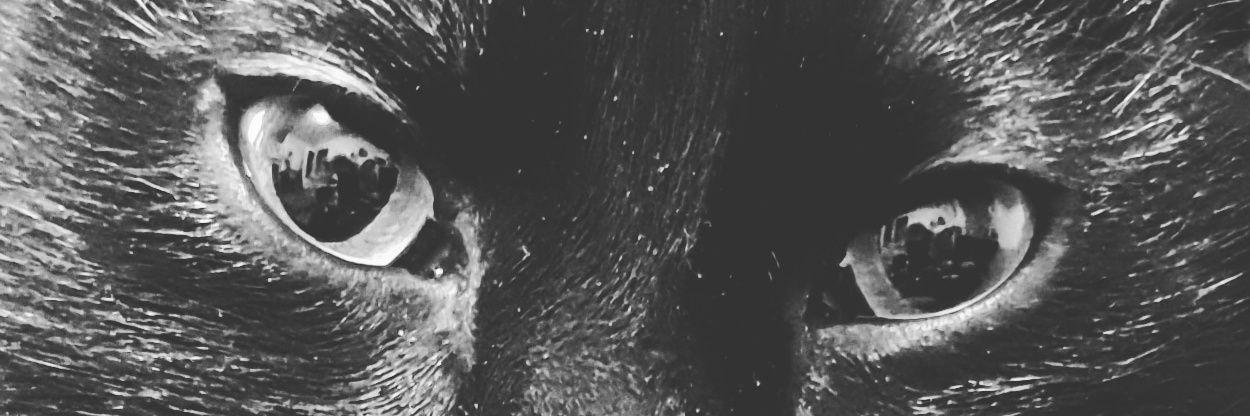 _nbpauline's profile banner image