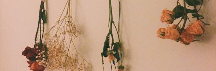 britthube's profile banner image