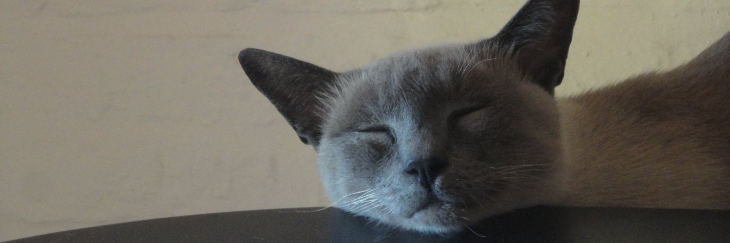 barbatuiter95's profile banner image