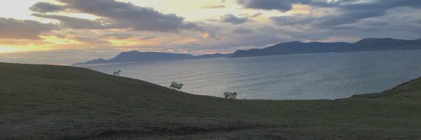 olofgill Profile Banner