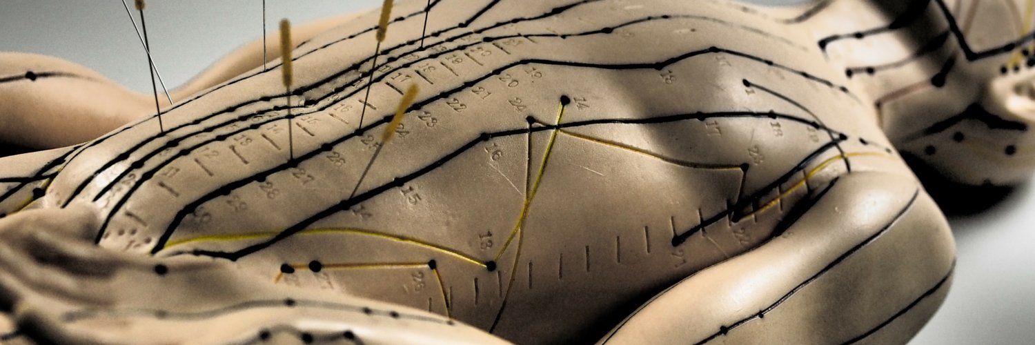 Acupuncture T banner