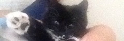 be_crys's profile banner image
