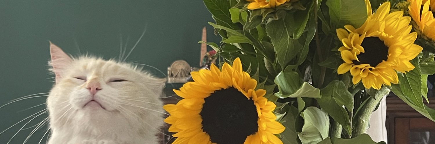 Maka4_'s profile banner image