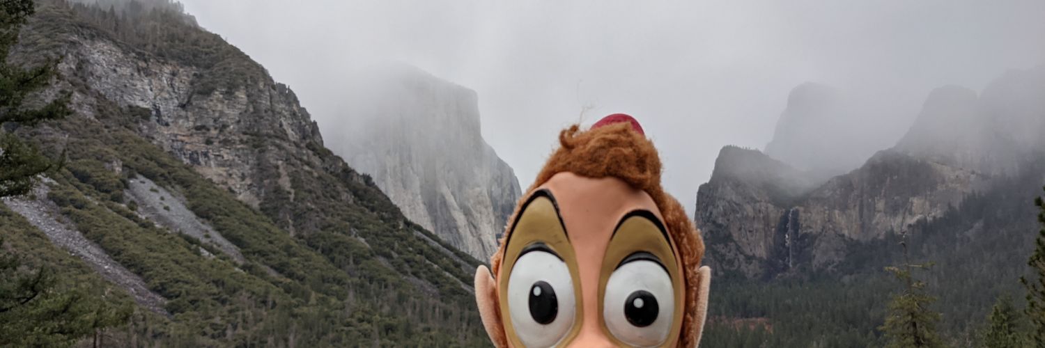 Aziz Poonawalla banner