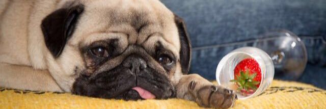 sofffffy's profile banner image
