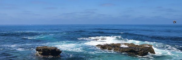 junorouse Profile Banner